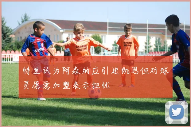特里认为阿森纳应引进凯恩但对球员愿意加盟表示担忧