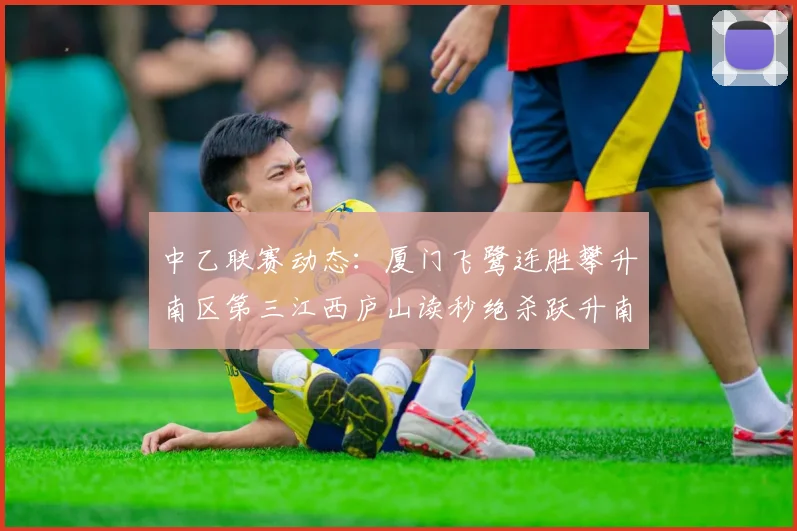 中乙联赛动态：厦门飞鹭连胜攀升南区第三江西庐山读秒绝杀跃升南区第四