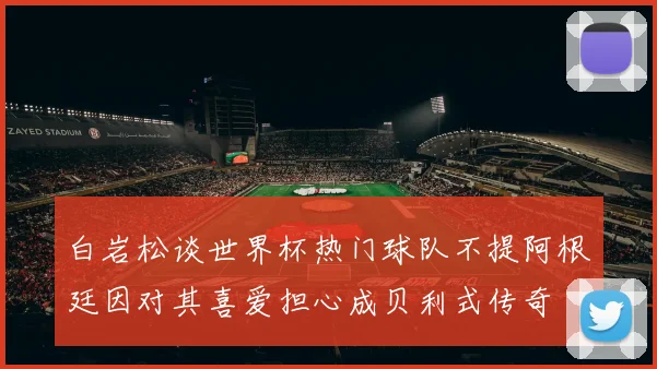 白岩松谈世界杯热门球队不提阿根廷因对其喜爱担心成贝利式传奇